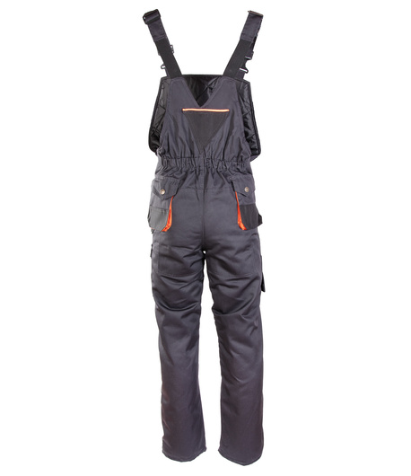 Spodnie ogrodniczki ocieplane Brixton Practical