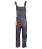 Spodnie ogrodniczki ocieplane Brixton Practical